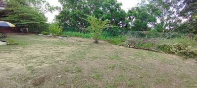Photo #10