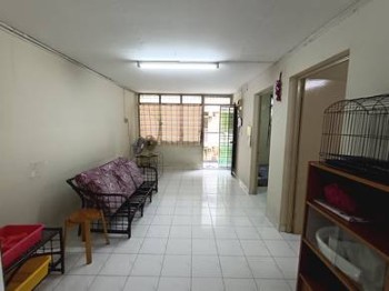 Photo #3