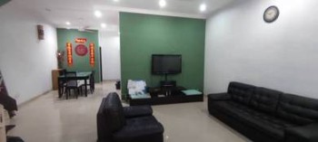 Photo #8