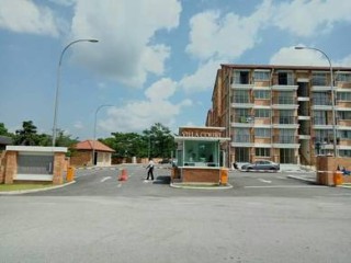 Photo #1