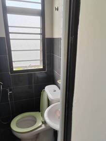 Photo #10