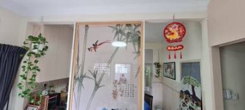 照片 #8