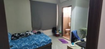 Photo #8