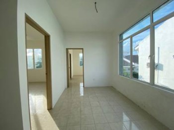 Photo #8