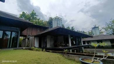Photo #6