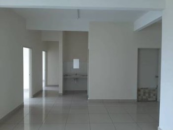 Photo #3