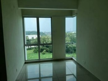 Photo #6